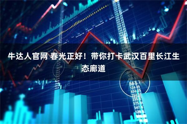 牛达人官网 春光正好！带你打卡武汉百里长江生态廊道