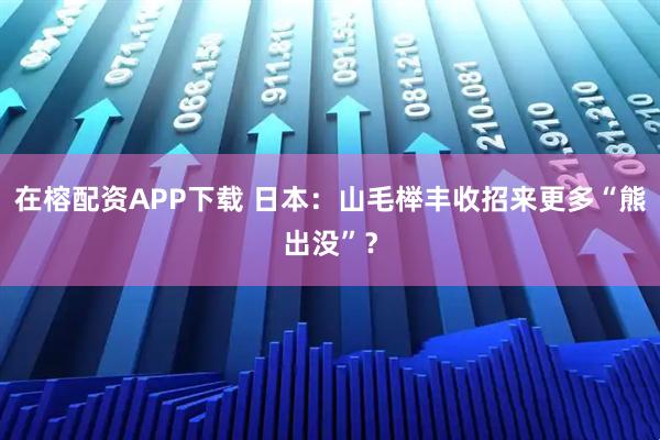 在榕配资APP下载 日本：山毛榉丰收招来更多“熊出没”？
