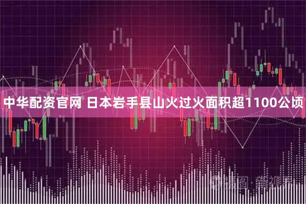 中华配资官网 日本岩手县山火过火面积超1100公顷