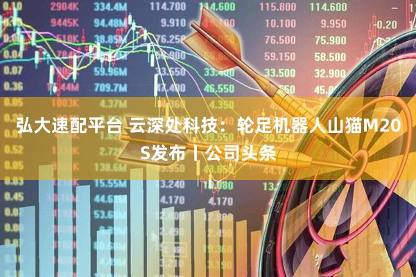 弘大速配平台 云深处科技：轮足机器人山猫M20S发布丨公司头条