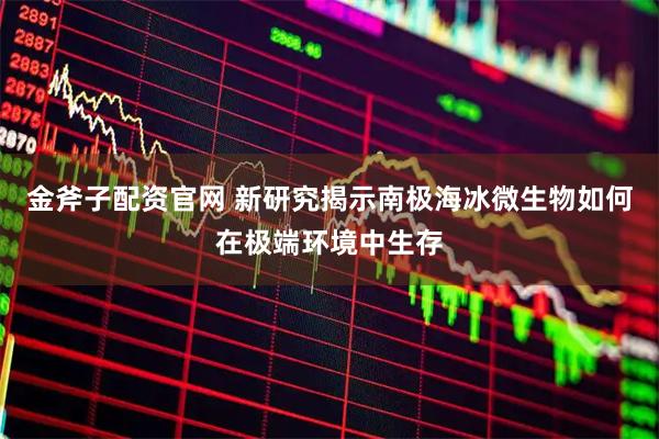 金斧子配资官网 新研究揭示南极海冰微生物如何在极端环境中生存